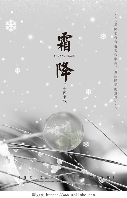 创意灰色叶子水滴霜降背景中国二十四节气宣传海报